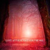 Love After Sunset Volume #01 artwork