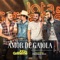 Amor de Gaiola (feat. Fiduma & Jeca) - Jota & Guilherme lyrics