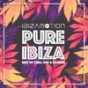 Pure Ibiza (Best of Chill Out and Lounge)