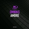 Ambre (Extended Mix) - Single