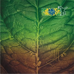 Jamaica Groove - Dinheiro