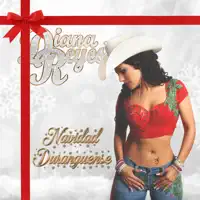 El Año Viejo — Diana Reyes