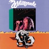 Whitesnake - Queen of Hearts
