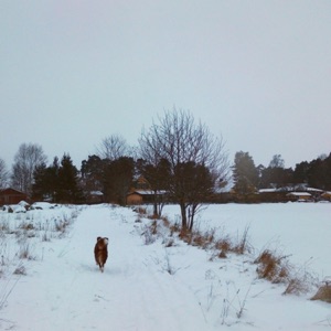 Melancholy Memories - Single