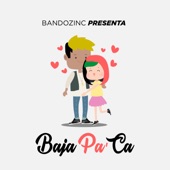Baja Pa'ca artwork