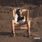 Addicted 2 Destruction - Jaclyn Gee lyrics
