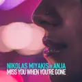 Miss You When Youre Gone (feat. Anja) (Extended Ve