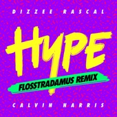 Hype (Flosstradamus Remix) artwork