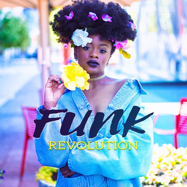 Funk Revolution: Lounge Acid Jazz