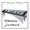 Vibration Feedback - EP