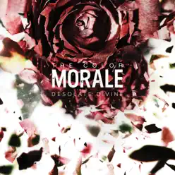 Desolate Divine - The Color Morale