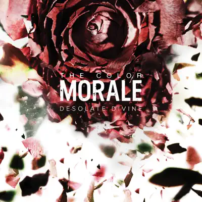 Desolate Divine - The Color Morale