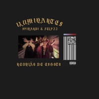 Reunião de Esgoto - Single - Spinardi & Felp 22