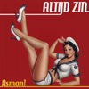 Altijd Zin - Single