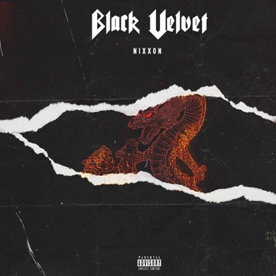 Black Velvet