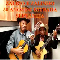 BRINCANDO COM A VIOLA — ZALICO E ZALINHO