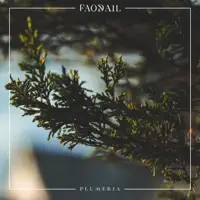 Plumeria — Faodail