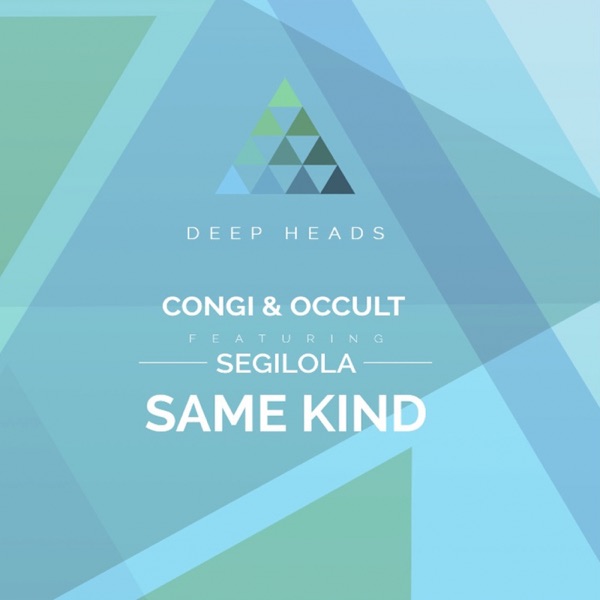 Same Kind (feat. Segilola) - EP