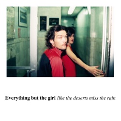 Everything But the Girl - Missing (Todd Terry Club Mix)