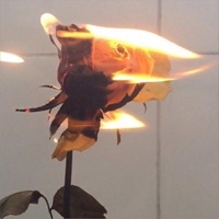 Close Enough - Single - Tothegood