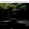 Traps - Enrico Rava Quintet lyrics