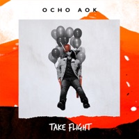 Take Flight - Single - OCHO AOK