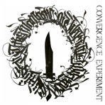 Convergence Experiment