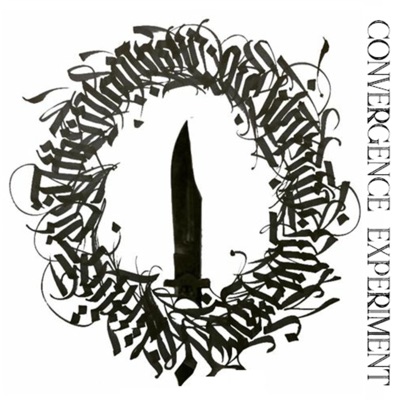 Convergence Experiment