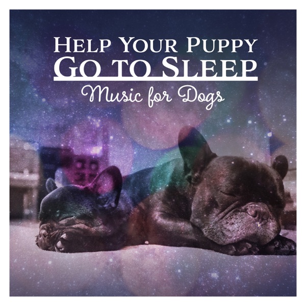 Help Your Puppy Go to Sleep (Music for Dogs)