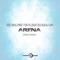 Arena (feat. David Quijada) [Strings of Infinity] - Jose Am, Enric Font & Liam lyrics