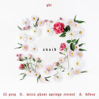 Avoid (feat. Wicca Phase Springs Eternal & Døves) - Single - LiL PEEP