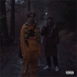 Everything Is Fine. (feat. Anton Ånell) LUCY FER