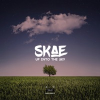Up Into the Sky - Single - Skae