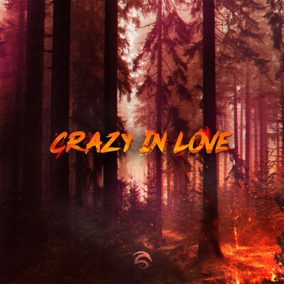 Crazy in Love - Single