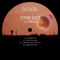 X-Press (Stanislav Tolkachev Remix) - Synebot lyrics