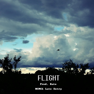 Flight (Nsmc6 Late Entry) - Single