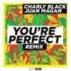 You're Perfect (Remix) - Single
