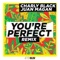 You're Perfect - Charly Black & Juan Magán lyrics