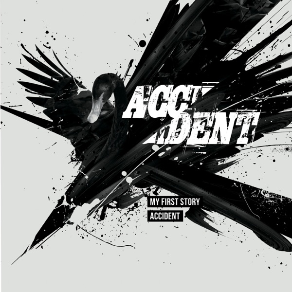 ACCIDENT - Single