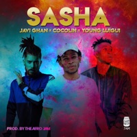 Sasha (feat. Thecocolin & Young Luigui) - Single - JaviGhan