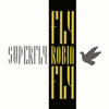 Fly Robin Fly