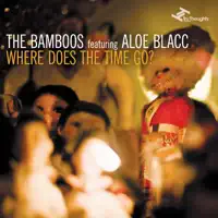 WHERE DOES THE TIME GO (FEAT ALOE BLACC) — THE BAMBOOS