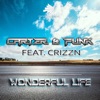 Wonderful Life (feat. Crizzn) [Remixes]