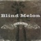 Galaxie - Blind Melon lyrics