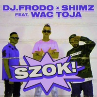 Szok! (feat. Wac Toja) - Single - Dj.Frodo, Shimz & Wac Toja