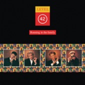 Level 42 - Lessons In Love