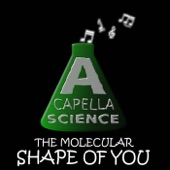 The Molecular Shape of You artwork