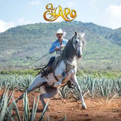 Emergencia en la Ciudad (Version Mariachi) - Single - El Chapo De Sinaloa