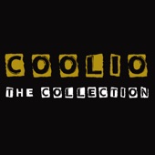 The Collection artwork