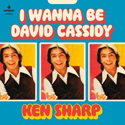 I Wanna Be David Cassidy - Single